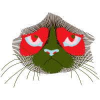 Cat Animals Cat Animals