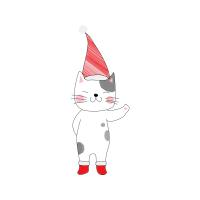 Cat Animals Cat Animals