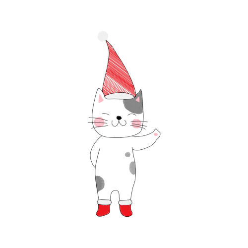 Cat Animals Cat Animals