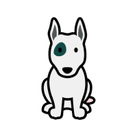 Cat Animals Cat Animals