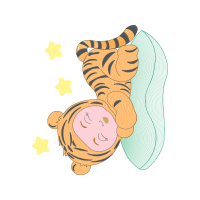 Cat Animals Cat Animals