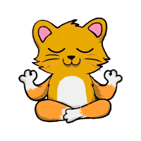 Cat Animals Cat Animals