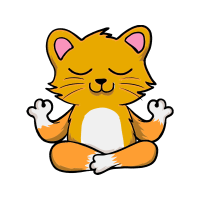 Cat Animals Cat Animals