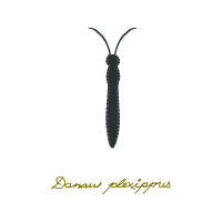 Caterpillar Inc Animals Caterpillar Inc Animals