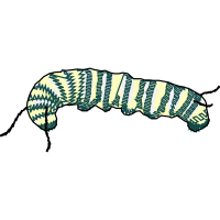 Caterpillar Inc Animals Caterpillar Inc Animals