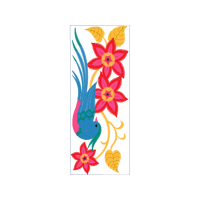 Cattleya Orchids Animals Cattleya Orchids Animals