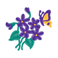 Cattleya Orchids Animals Cattleya Orchids Animals