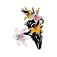 Cattleya Orchids Animals