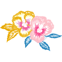 Cattleya Orchids Animals