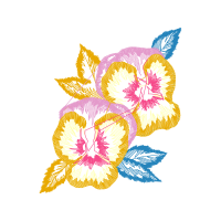 Cattleya Orchids Animals