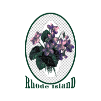 Cattleya Orchids Animals Cattleya Orchids Animals