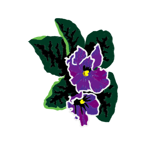 Cattleya Orchids Animals Cattleya Orchids Animals