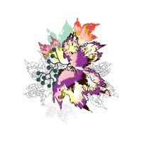 Cattleya Orchids Animals