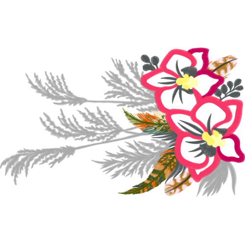 Cattleya Orchids Animals Cattleya Orchids Animals