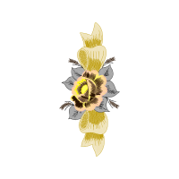 Cattleya Orchids Animals