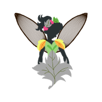 Cattleya Orchids Animals Cattleya Orchids Animals