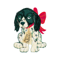 Cavalier King Charles Spaniel Animals