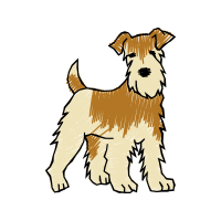 Cesky Terrier Animals