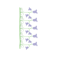 Cesky Terrier Animals