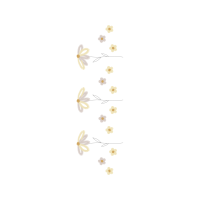 Chrysanthemum Animals