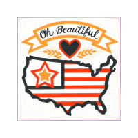 Cityvax Low Cost Pet Vaccinations Animals