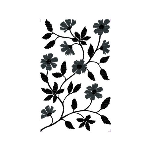 Coca Family Animals Coca Family Animals