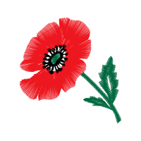 Common Poppy Animals Common Poppy Animals