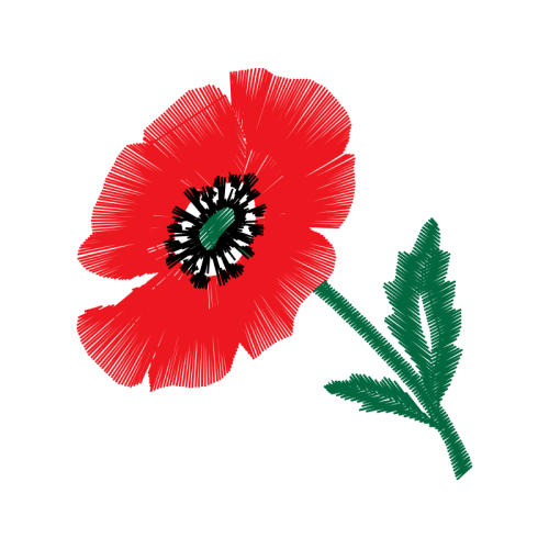 Common Poppy Animals Common Poppy Animals