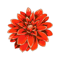 Common Zinnia Animals