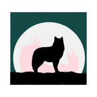 Coyote Animals Coyote Animals