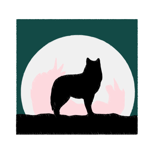 Coyote Animals Coyote Animals