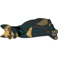 Coyote Animals Coyote Animals