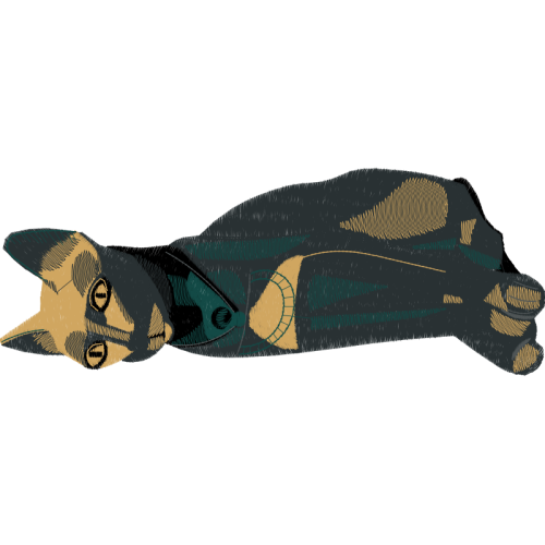 Coyote Animals Coyote Animals