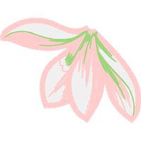 Crinum Animals Crinum Animals