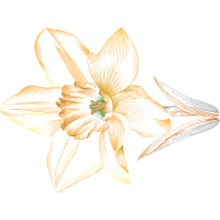 Crinum Animals Crinum Animals