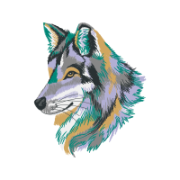 Czechoslovakian Wolfdog Animals