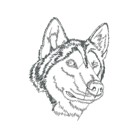 Czechoslovakian Wolfdog Animals