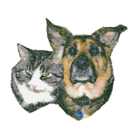 Czechoslovakian Wolfdog Animals