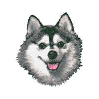 Czechoslovakian Wolfdog Animals