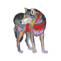 Czechoslovakian Wolfdog Animals