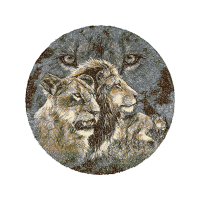 Czechoslovakian Wolfdog Animals