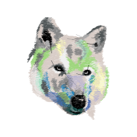 Czechoslovakian Wolfdog Animals