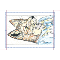 Czechoslovakian Wolfdog Animals