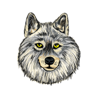 Czechoslovakian Wolfdog Animals