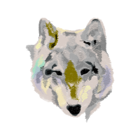 Czechoslovakian Wolfdog Animals