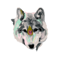 Czechoslovakian Wolfdog Animals