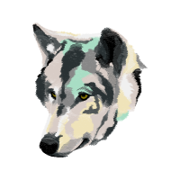 Czechoslovakian Wolfdog Animals