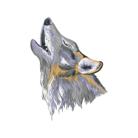 Czechoslovakian Wolfdog Animals