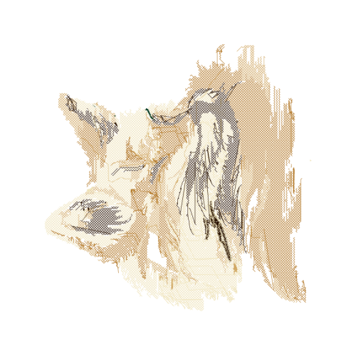 Czechoslovakian Wolfdog Animals Czechoslovakian Wolfdog Animals