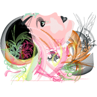 Dachshund Animals Dachshund Animals